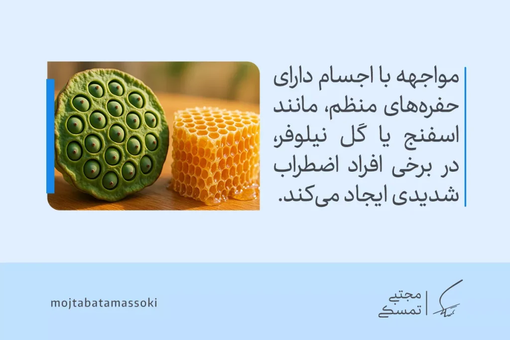 تصویر گل نیلوفر و موم زنبور با حفره‌های منظم، احساس ترس از حفره‌های ریز و اضطراب در برخی بینندگان ایجاد می‌کند.