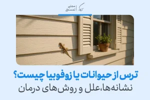 مارمولکی بر روی دیوار کنار پنجره دیده می‌شود و مفهوم واکنش طبیعی یا افراطی انسان در مواجهه با ترس از حیوانات را نشان می‌دهد.