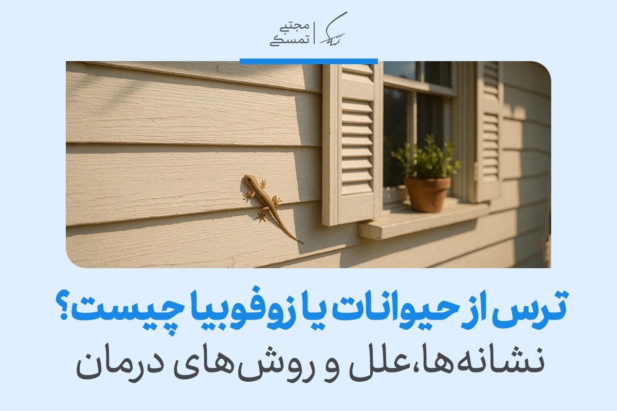 مارمولکی بر روی دیوار کنار پنجره دیده می‌شود و مفهوم واکنش طبیعی یا افراطی انسان در مواجهه با ترس از حیوانات را نشان می‌دهد.