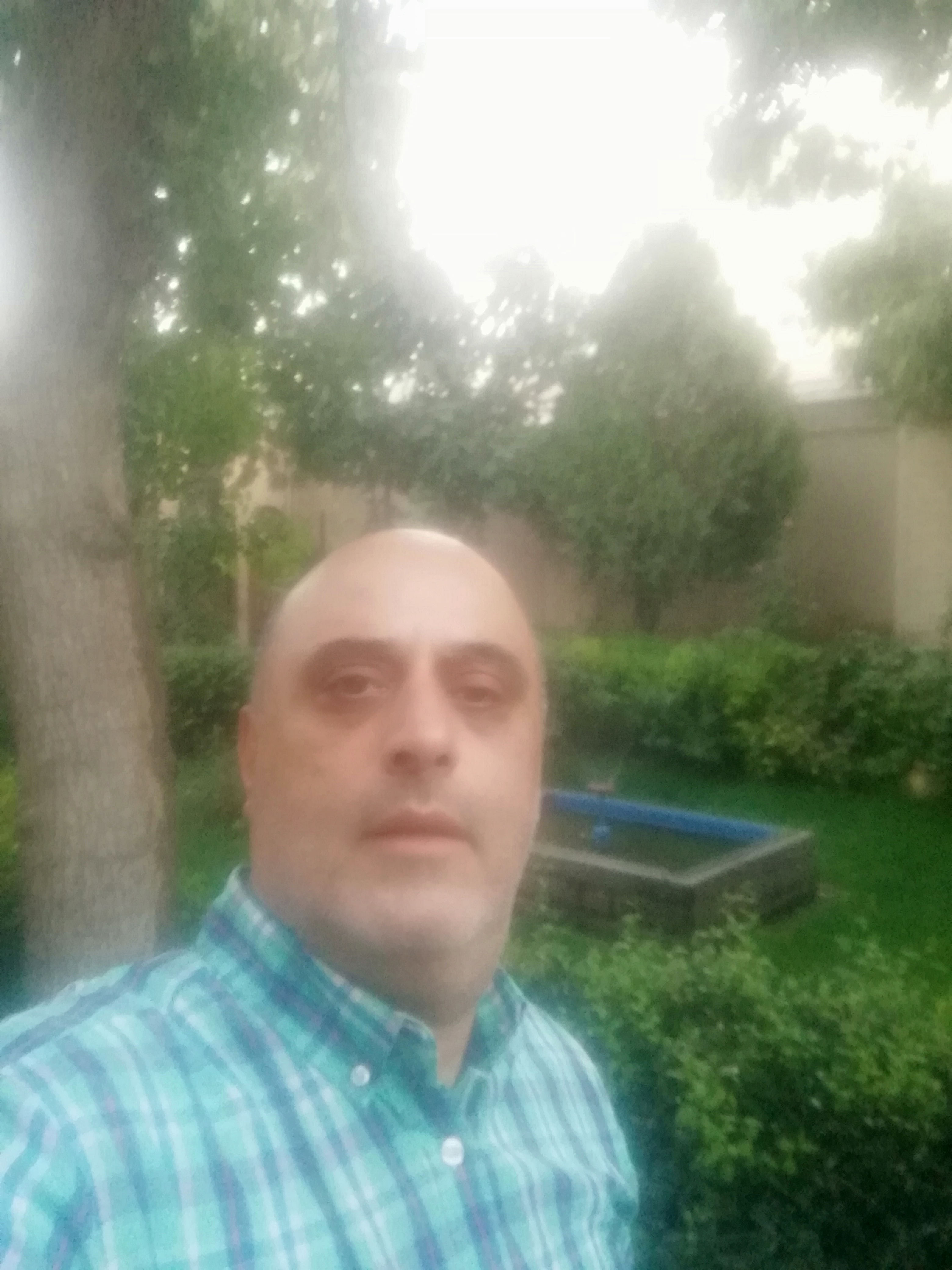 مرتضی محقق